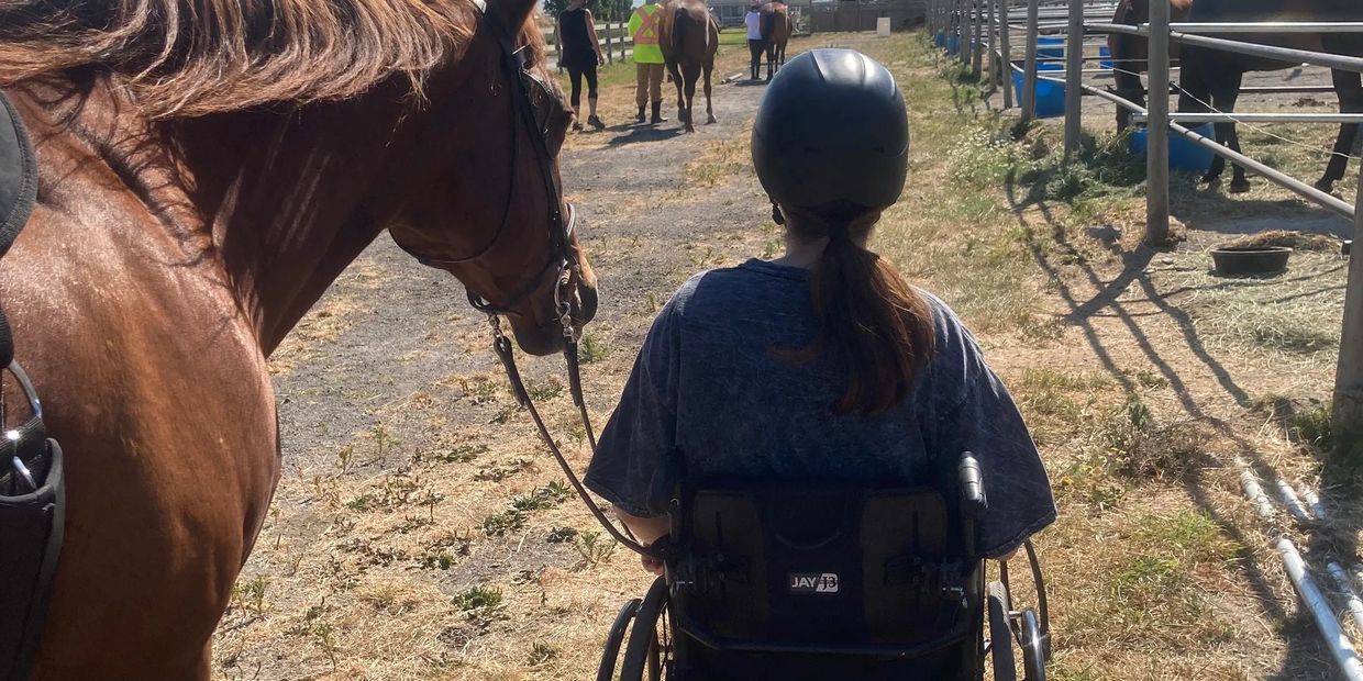 A person in a wheelchair holding a horse's reins.