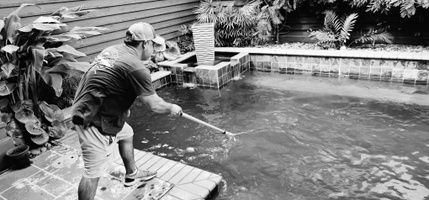 Pools by Victor of Texas