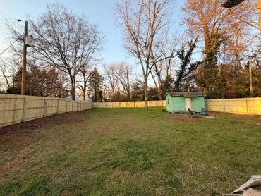A fenced backyard with a small green shed and leafless trees in autumn.