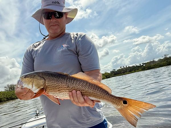 EXCITING FISHING CHARTERS FOR REDFISH SAFETY HARBOR TAMPA BAY SNOOK TARPON FISHING GUIDE 