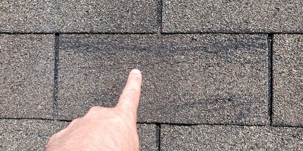 Wind Damaged Shingle 