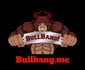 Bullbang Gang
