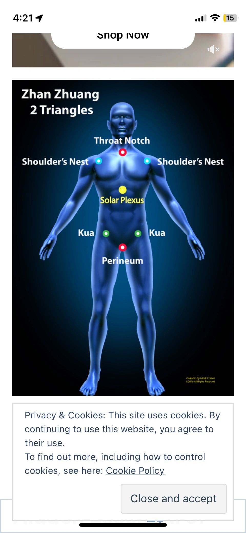 Diagram of Zhan Zhuang's two triangles on a human body showing key points like Throat Notch and Solar Plexus.