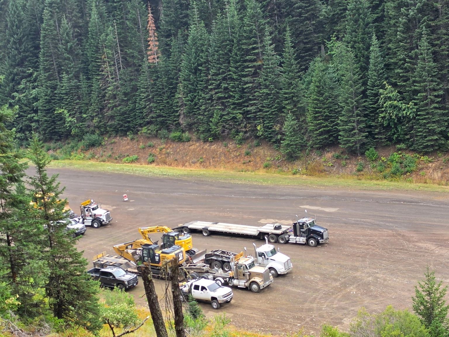 Heavy trucks and excavators parked near a forest.