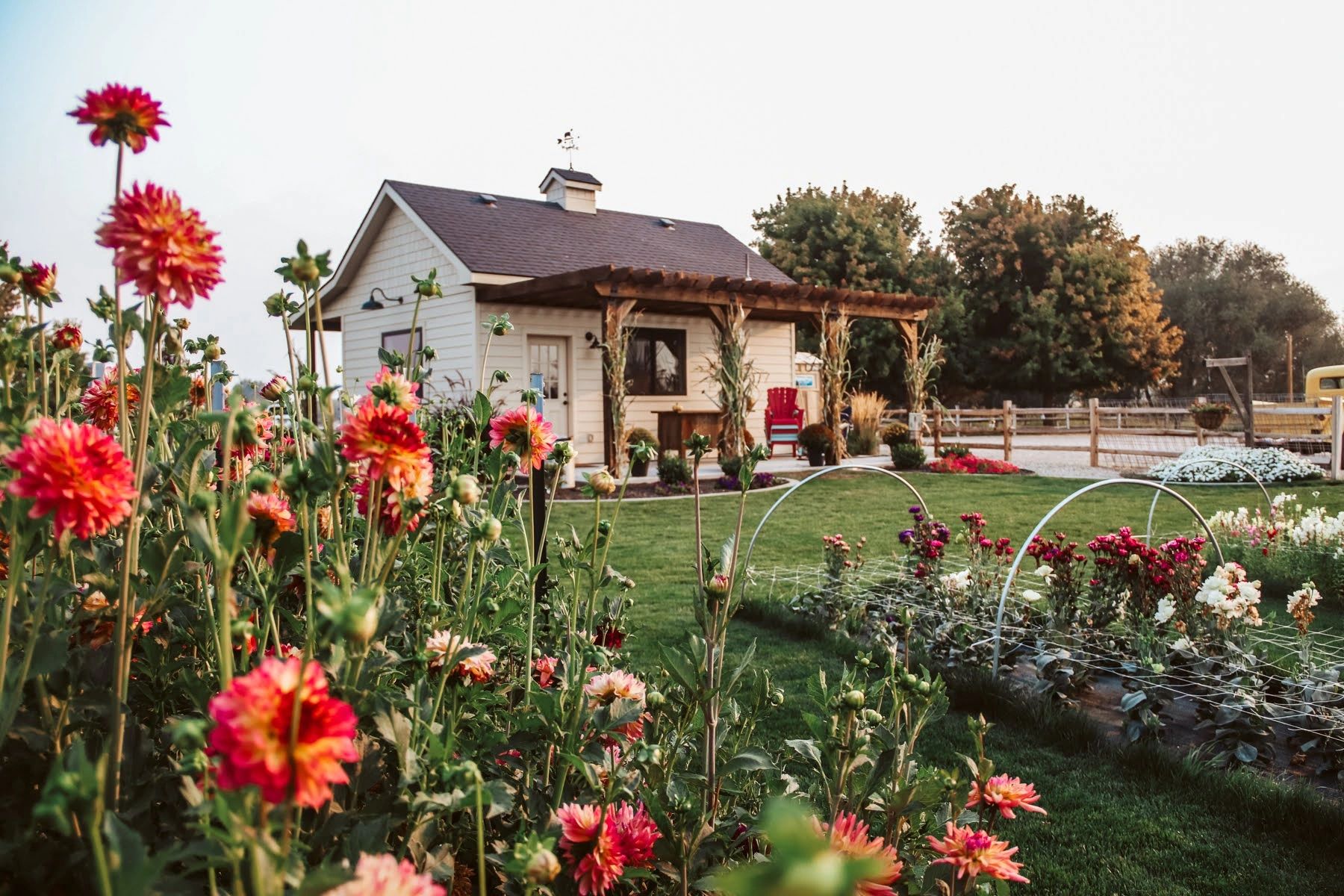 Border & Blooms Flower Farm UPick Experience Fruitland, Idaho