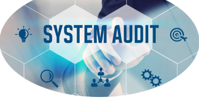 hardware and software System audit