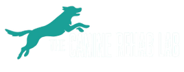 The Canine Rehab Lab
