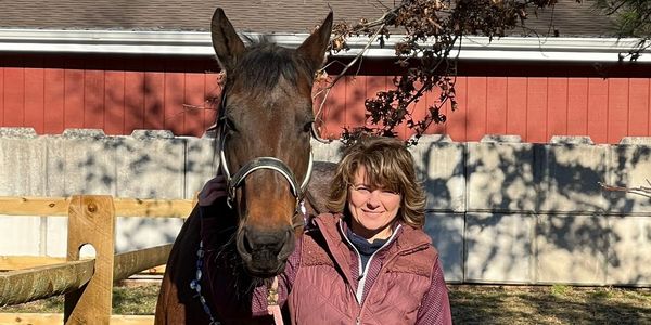 Woman standing next to a brown horse outside on a sunny day.