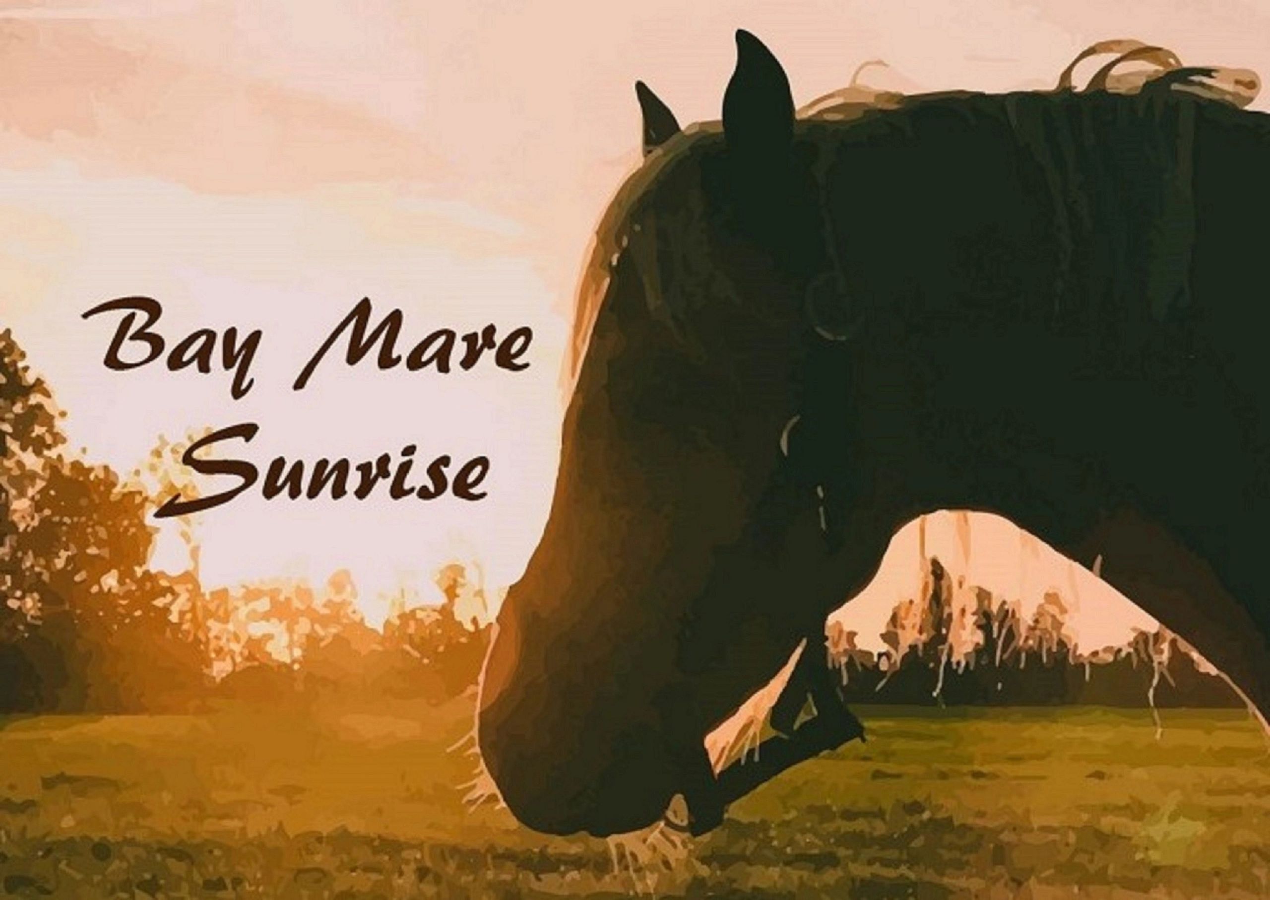 Silhouette of a bay mare horse at sunrise in a peaceful field.