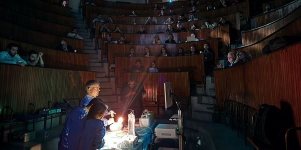 Dr. Selçuk Mülazimoğlu, Ankara Üniversitesi Tıp Fakültesi Anatomi Anabilim Dalı Çukur Amfi