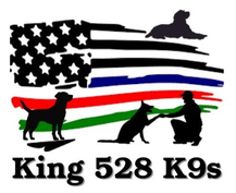 KING528K9S