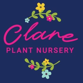 (c) Clareplantnursery.com