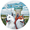 Big  Rock Akitas