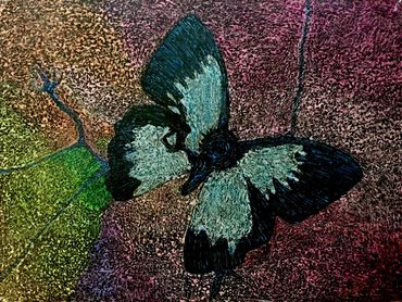 A colorful butterfly on a textured background.