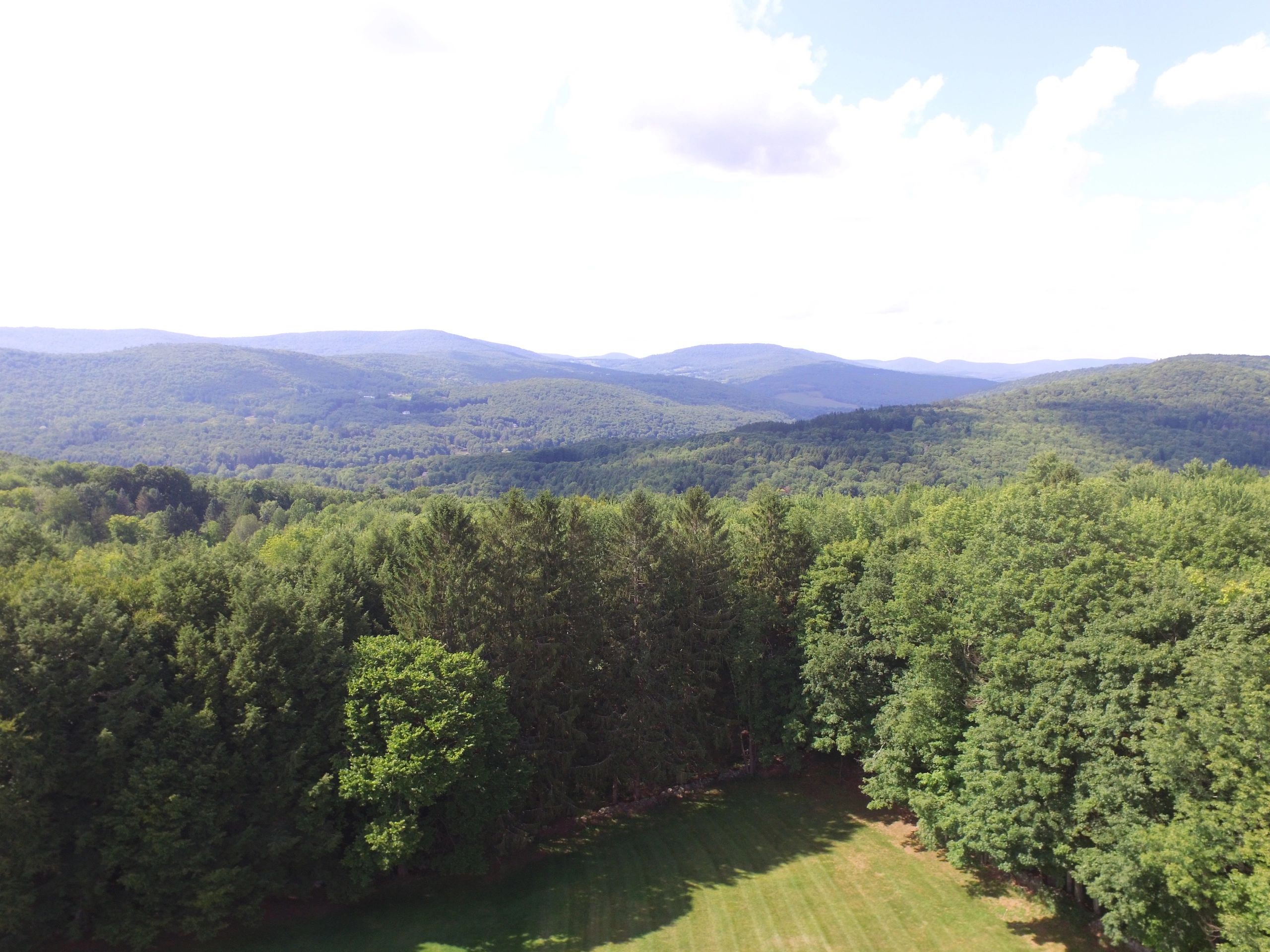 Catskill Mountains Real Estate Roxbury, New York