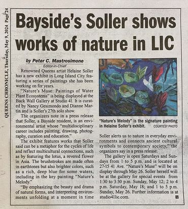 Queens Chronicle 2024 review “Bayside’s Soller shows works of nature in LIC”
