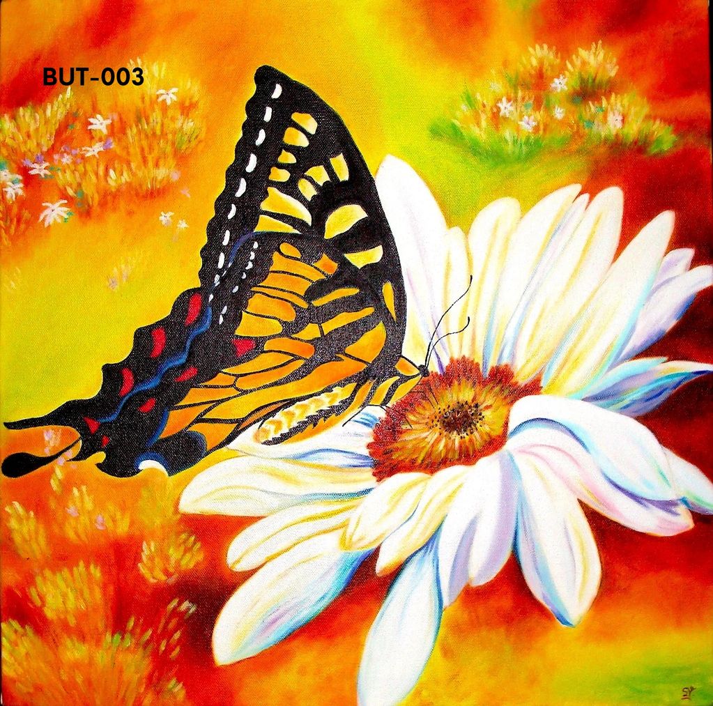 BUTTERFLY ON A FLOWER (three of three) (3/3)