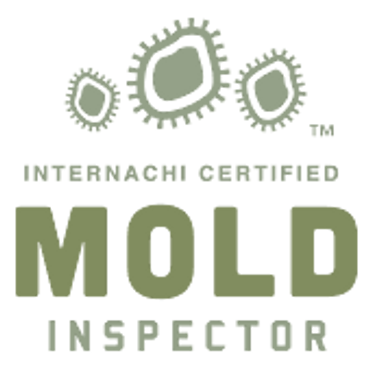 Experienced and certified technicians: Our team is highly trained and equipped to handle any mold situation.
