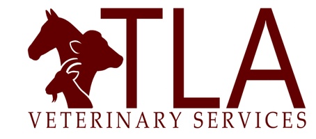 Tlavs