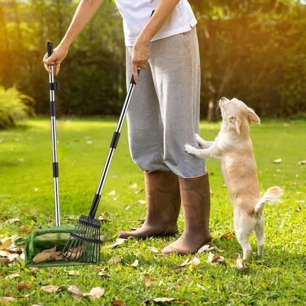 Person raking leaves with a small dog standing on hind legs beside them.
