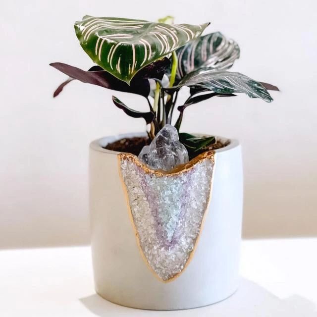 Seven Chakra Tree - Divine Balance