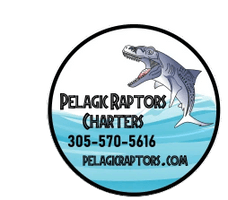 Pelagic Raptors Charters
Capt. Mike
305-570-5616