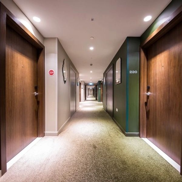 Beautiful hotel corridor with carpet
