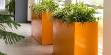 Bright orange planters with green plants in a modern indoor space.