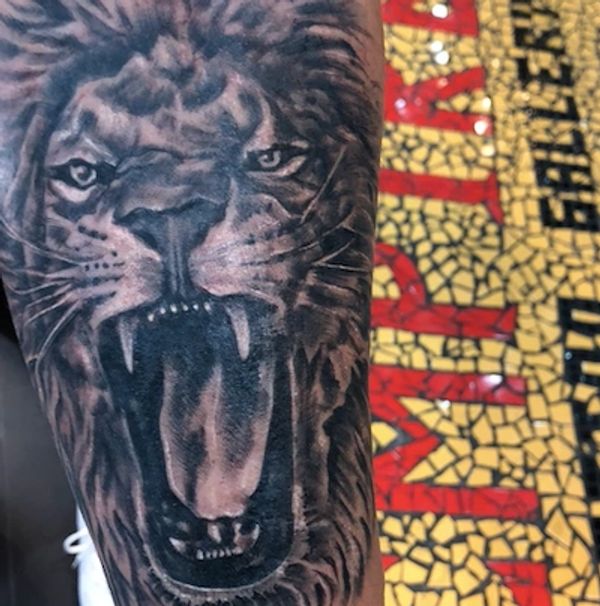 roaring angry lion tattoo