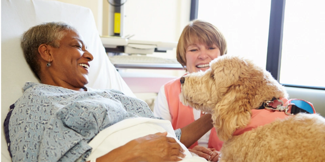 Person laying in hospital bed petting a dog