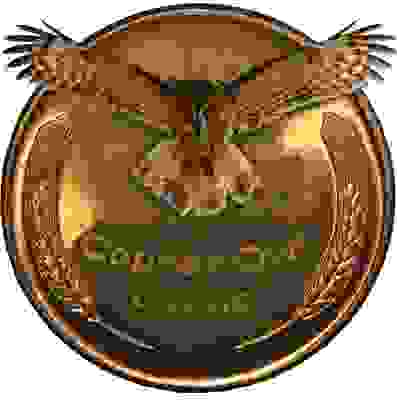 Copper Owl Coins