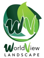 World View Landscape
