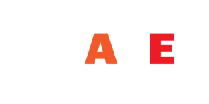 BASES 