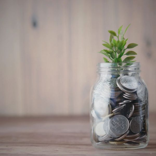 A glass jar filled with coins and a small green plant growing from it.