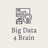 BigData4Brain