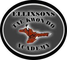 Ellixson's Tae Kwon Do Academy