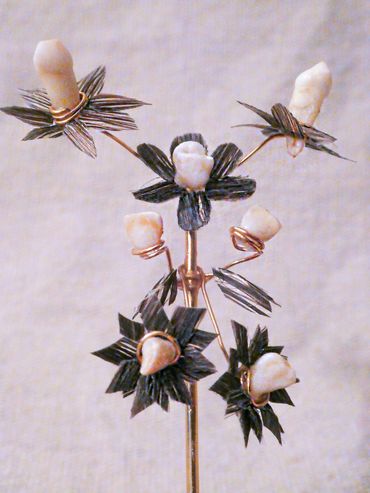 Hair and tooth memento 