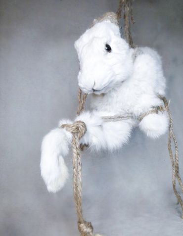 Bound rabbit