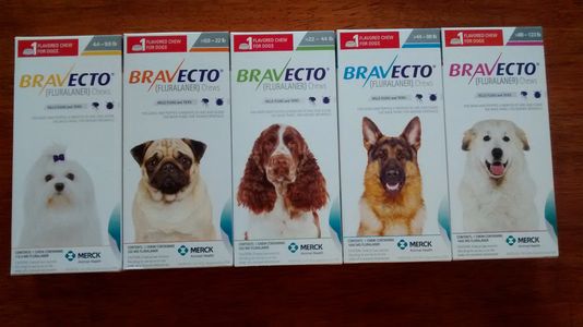 Bravecto Flea and Tick