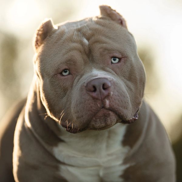 Whatchu lookin at?