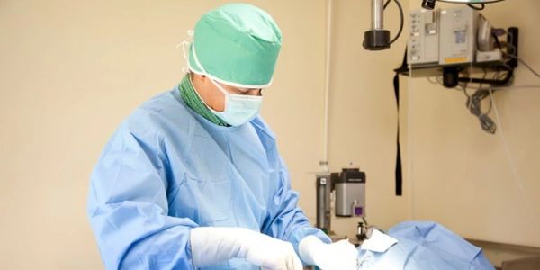 Dr. Lindsey D. Jackson DVM, performs surgery on a patient. 