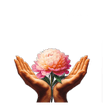 Pampering Peony by Anita/Users/anitaquilter/Downloads/shutterstoc