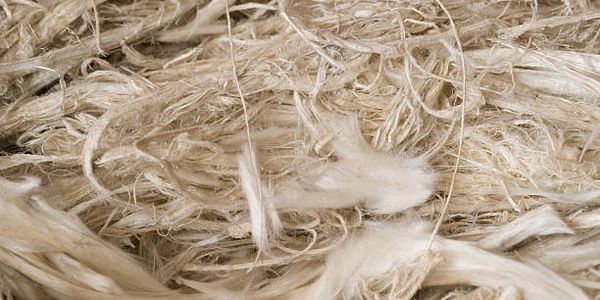 Asbestos Fibres (Chrysotile)