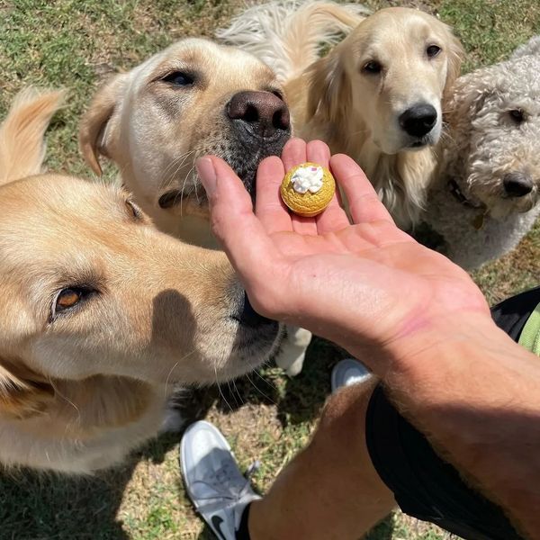 Lynn's Treats
