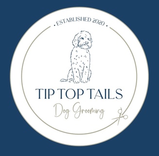 Tip Top Tails