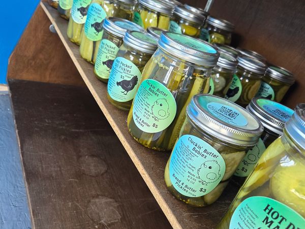 Jars of pickles neatly arranged on wooden shelves.