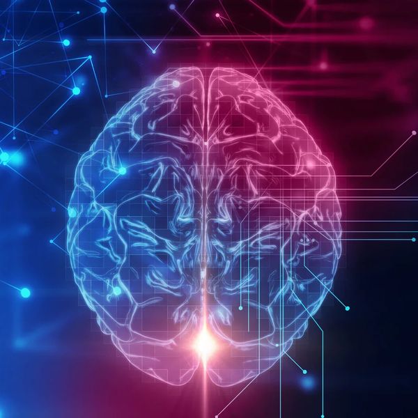 The power of the brain and the connections it can make