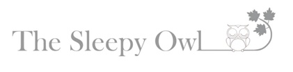 The Sleepy Owl