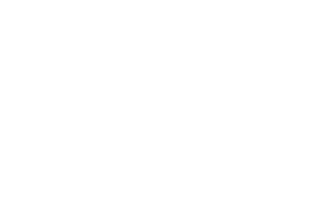 Stones Auto Service

