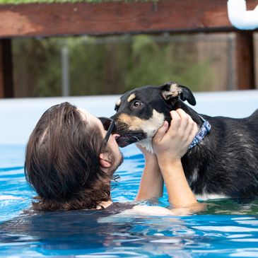 Playing Soggy Doggy  What!? What!? 